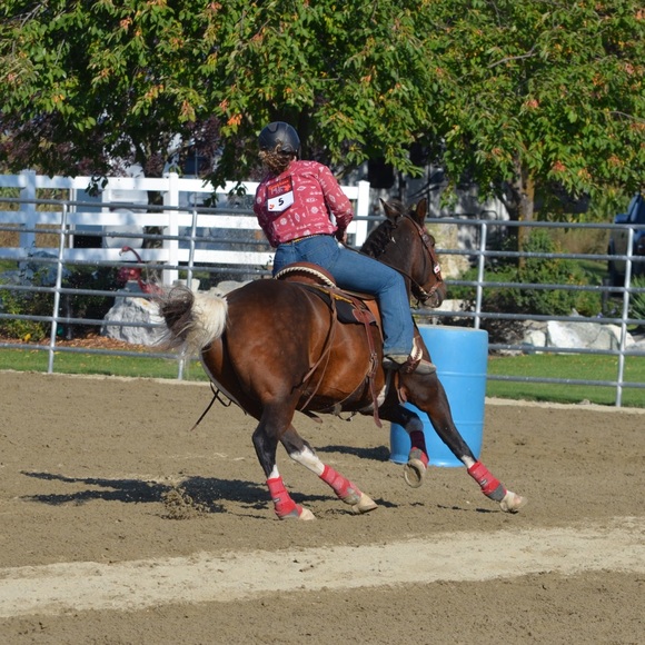 Meet your Posher, Sapphire - Picture 1 of 1